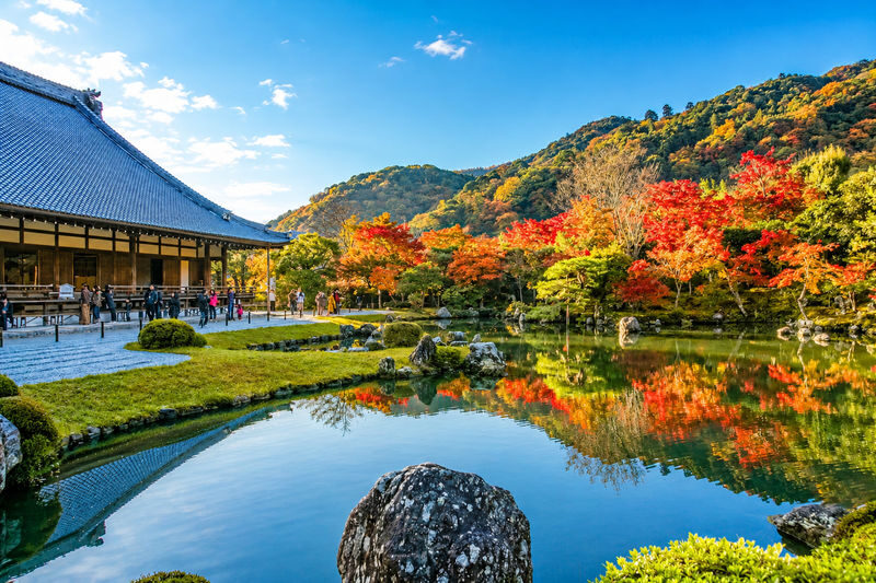 Kyoto and Nara Day Tour(Optional upgrade to Wagyu "Kobe Beef" lunch) - Departure points, timing and useful preparation