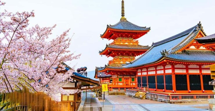 Kyoto and Nara Day Tour With Kiyomizu-Dera,Nara Park&Temple - Good To Know