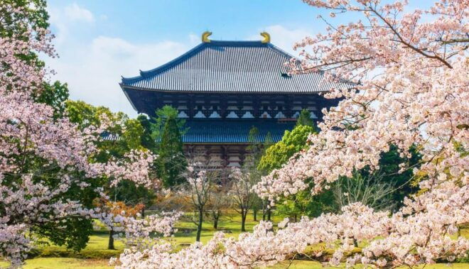 Kyoto and Nara Day Tour With Kiyomizu-Dera,Nara Park&Temple - Important Information