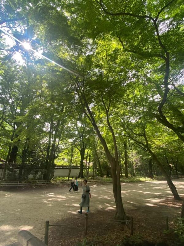 Kyoto and Nara: Discover traditional Japan - Final Thoughts