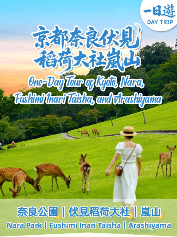 Kyoto and Nara Full-Day World Heritage Tour including Deer Feeding Experience - One day, three very different stops