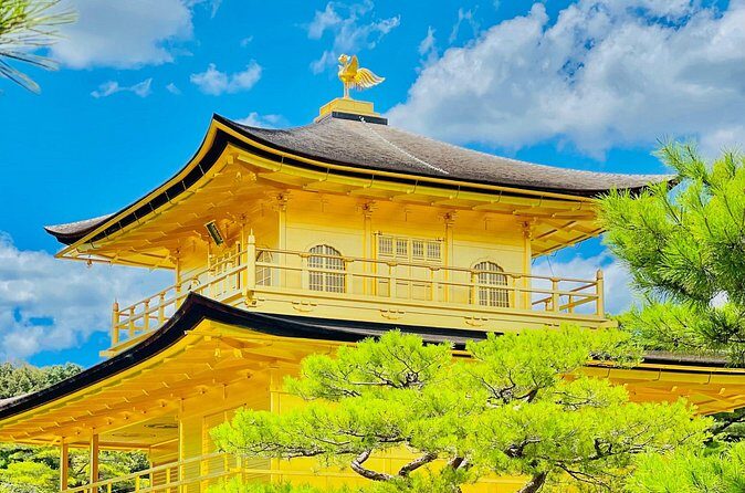 Kyoto and Nara Highlights with English speaking Driver and Guide - Who Is This Tour Best For?