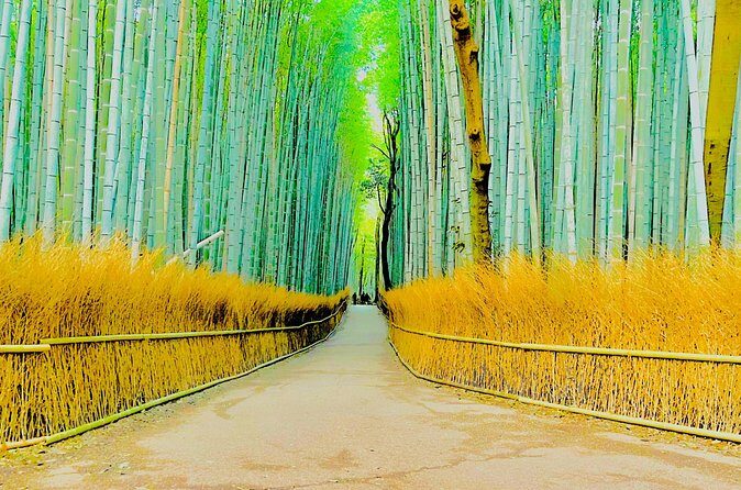 Kyoto and Nara Highlights with English speaking Driver and Guide - Final Thoughts