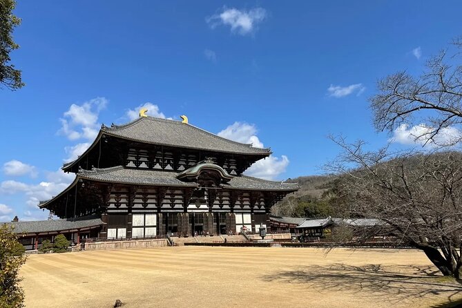 Kyoto and Nara Park Day Tour From Osaka/Kyoto. - The Sum Up