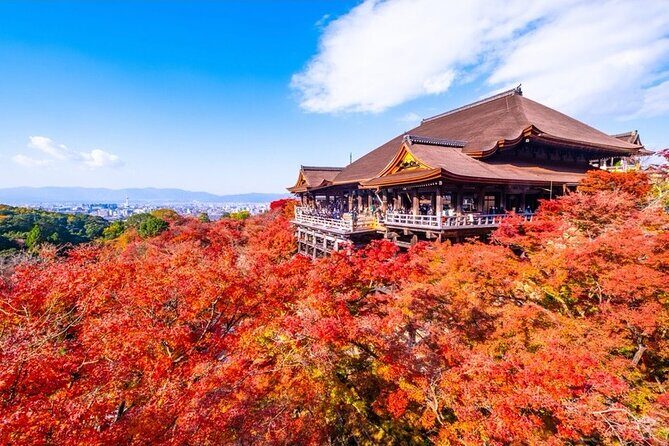 Kyoto and Nara Private Car Tour with a Local English Guide Driver - Who Would Love This Experience?