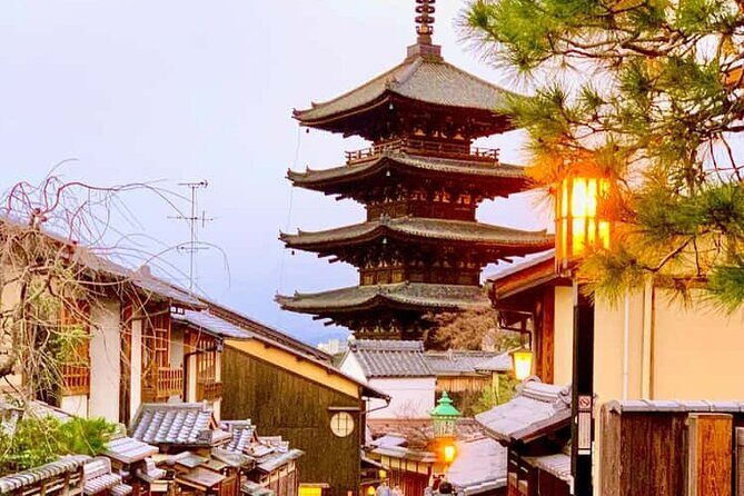 Kyoto and Nara Private Customizable Day Trip by Luxury Car - Who Is This Tour Best For?