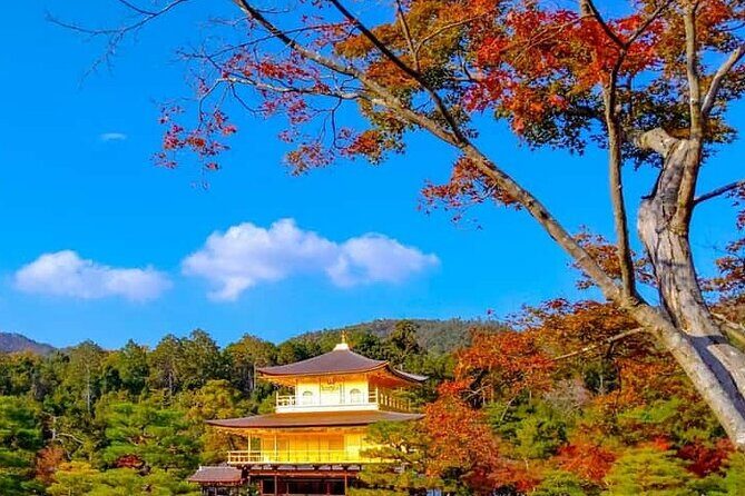 Kyoto and Nara Private Customizable Day Trip by Luxury Car - Who Is This Tour Best For?