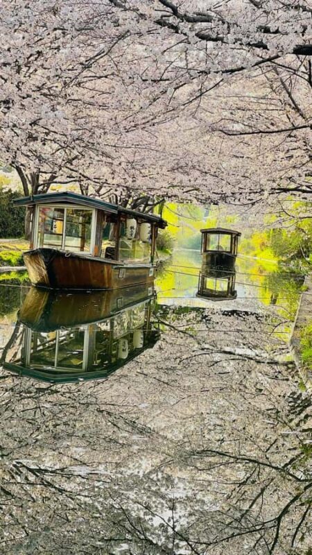 Kyoto and Nara: private tour with English speaking Guide - The Value of This Tour