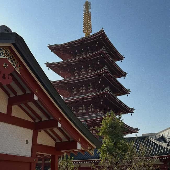 Kyoto and Nara: Private Tour with English speaking Guide - Good To Know