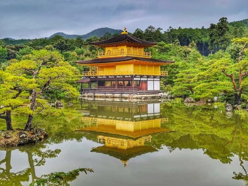 Kyoto and Nara: private tour with English speaking Guide - An In-Depth Look at the Tour Experience
