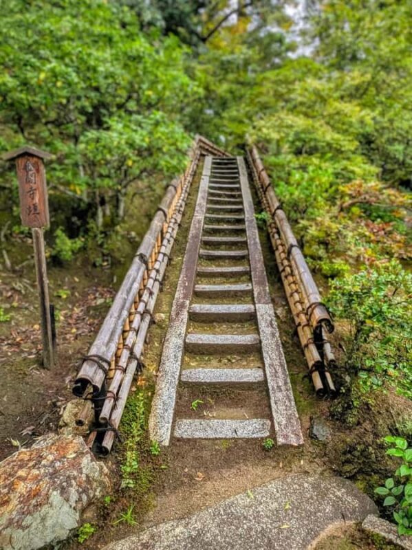 Kyoto and Nara: private tour with English speaking Guide - Transportation & Tour Logistics