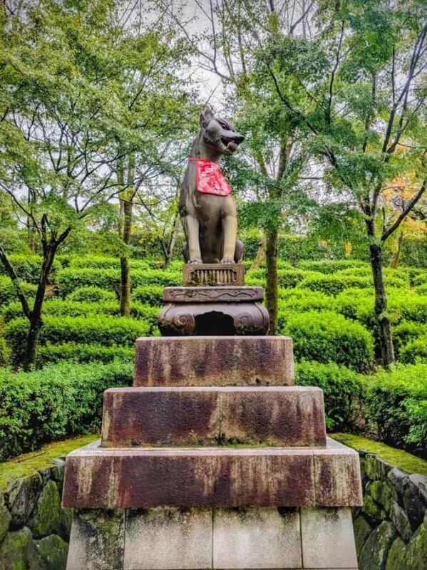 Kyoto and Nara: private tour with English speaking Guide - Final Thoughts: Who Will Love This Tour?