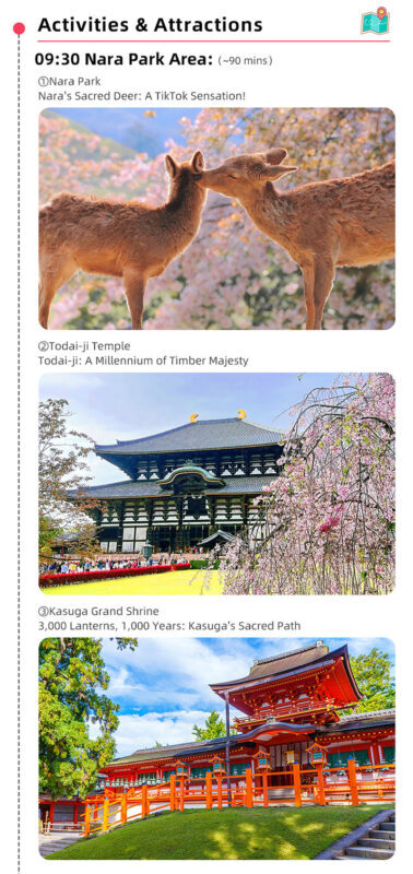 Kyoto and Nara Small Group 1-Day Tour: Nara Park Cute Deer, Kiyomizu-dera Temple, Fushimi Inari Taisha (Optional Hotel Pickup/Private Charter) - Is $44.85 good value?