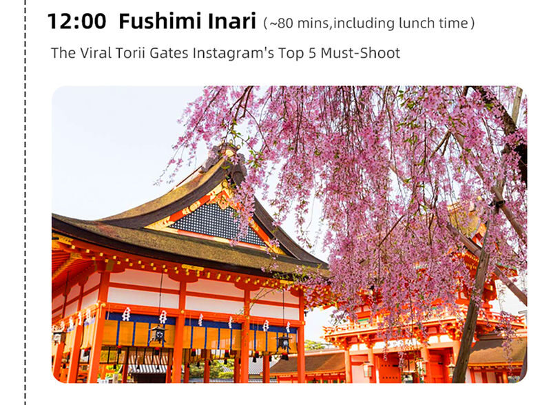 Kyoto and Nara Small Group 1-Day Tour: Nara Park Cute Deer, Kiyomizu-dera Temple, Fushimi Inari Taisha (Optional Hotel Pickup/Private Charter) - Timing, meeting points and practical cautions