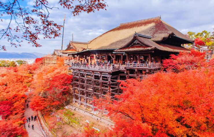 Kyoto and Nara UNESCO Highlights Full-day Tour From Osaka - Good To Know