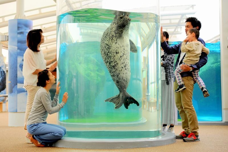 Kyoto Aquarium Admission Ticket - Price, location, and the ticket details that matter