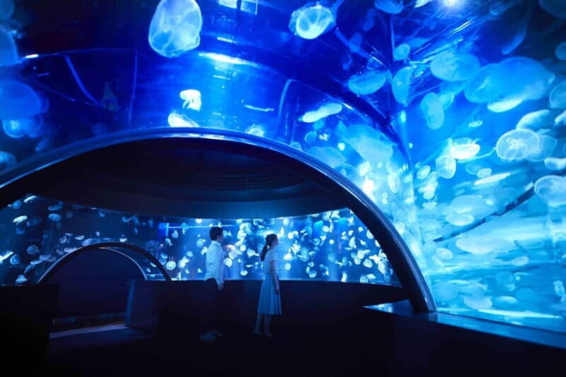 Kyoto Aquarium Admission Ticket - What Makes Kyoto Aquarium Special