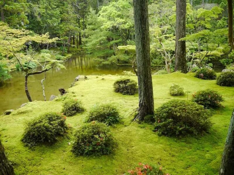 Kyoto: Arashiyama and Sagano Guided Walking Tour - Exploring Arashiyama: The Heart of the Tour