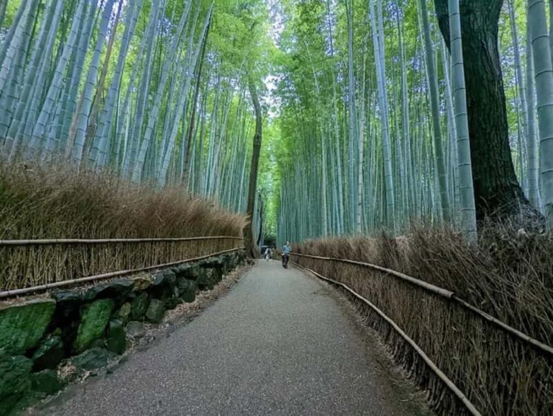 Kyoto: Arashiyama and Sagano Guided Walking Tour - Practical Details and Traveler Tips