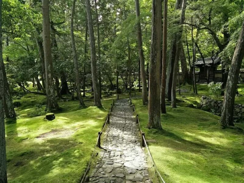 Kyoto: Arashiyama and Sagano Guided Walking Tour - Good To Know  