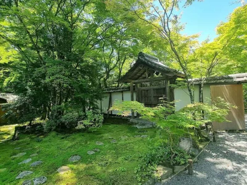 Kyoto: Arashiyama and Sagano Guided Walking Tour - Who Is This Tour Best For?  