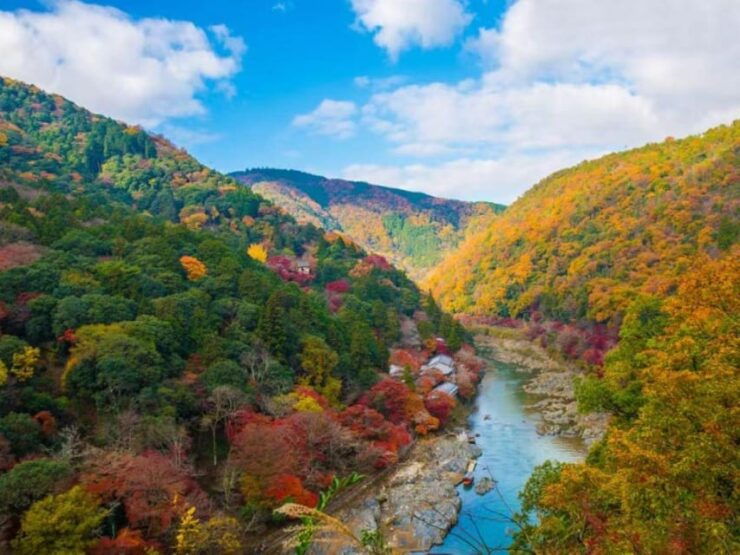 Kyoto: Arashiyama and Sanzen In Temple Day Tour - Itinerary Highlights