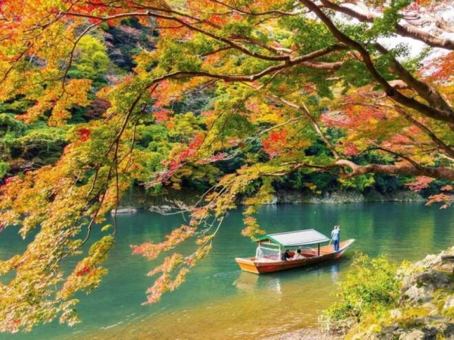 Kyoto: Arashiyama and Sanzen In Temple Day Tour - Important Information