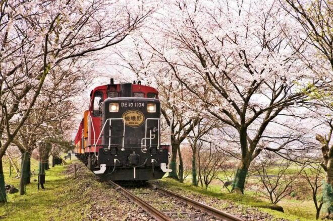 Kyoto: Arashiyama and Sanzen In Temple Day Tour - Age Restrictions