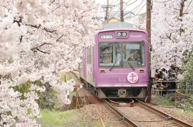 Kyoto: Arashiyama and Sanzen In Temple Day Tour - Frequently Asked Questions