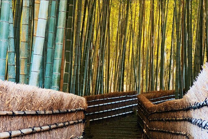Kyoto: Arashiyama, bamboo forest and beyond - Good To Know