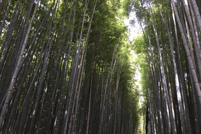 Kyoto: Arashiyama, bamboo forest and beyond - FAQs