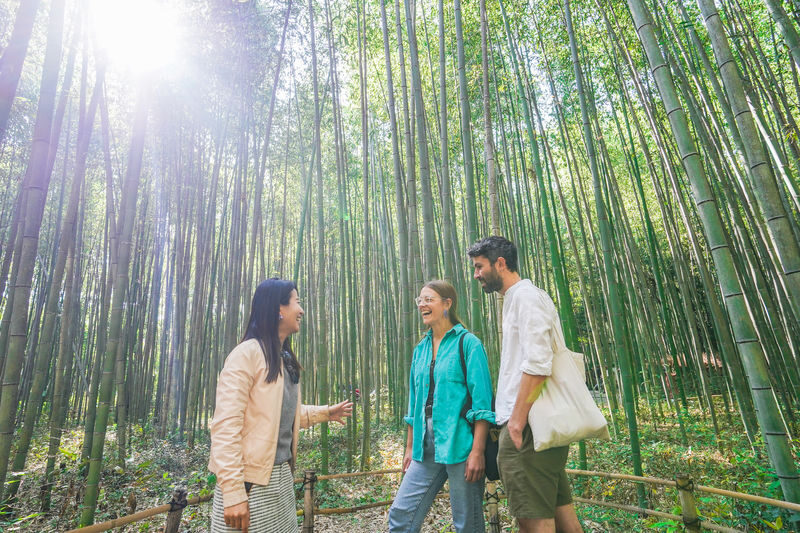 Kyoto Arashiyama Bamboo Forest & Garden Half Day Guided Walking Tour - Key points before you book