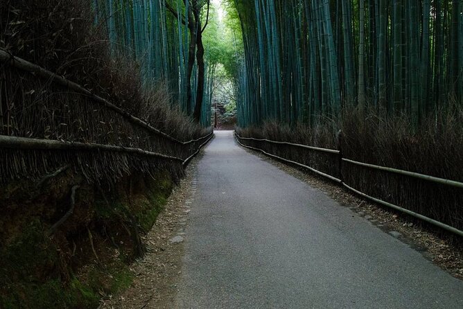 Kyoto Arashiyama Bamboo Forest & Golden Pavilion Bike Tour - Meeting Point Directions