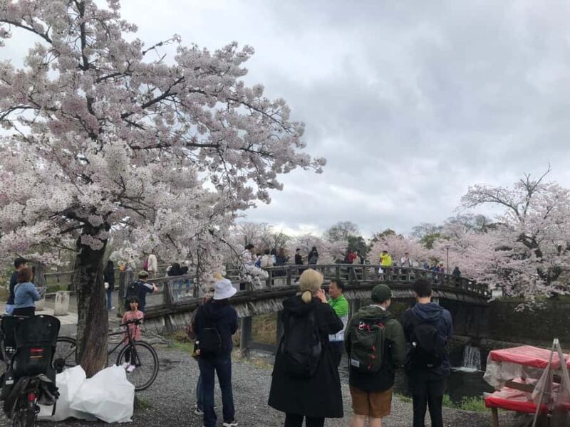 Kyoto Arashiyama Bamboo forest & Golden Pavilion E-Bike Tour - An Authentic Kyoto Adventure on Two Wheels