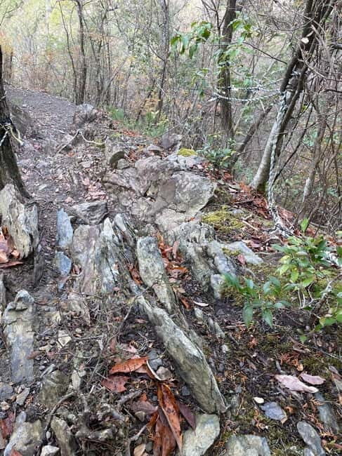 Kyoto: Arashiyama Bamboo Forest Hiking Tour - What is the Kyoto: Arashiyama Bamboo Forest Hiking Tour?