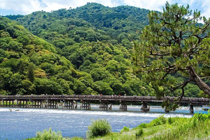 Kyoto: Arashiyama Bamboo Forest, Monkeys, Matcha & Temple Tour - Good To Know