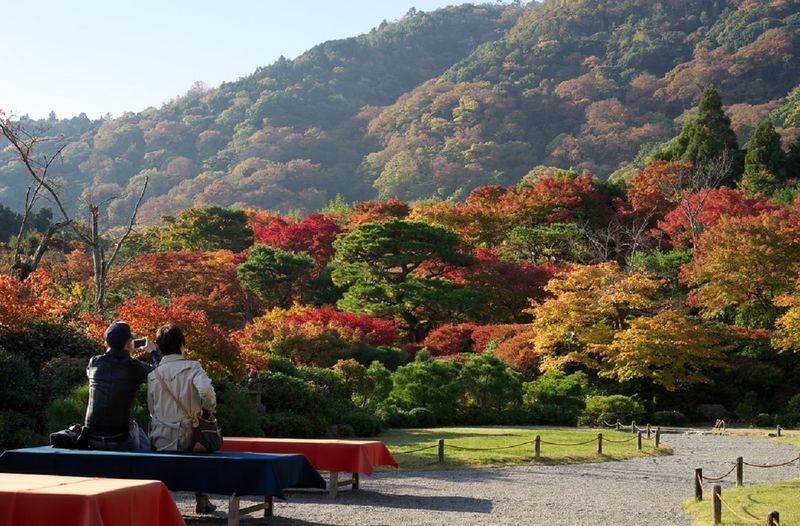 Kyoto Arashiyama Bamboo Forest & Togetsukyo Bridge Half-Day Small Group Tour - Arashiyama in a half-day