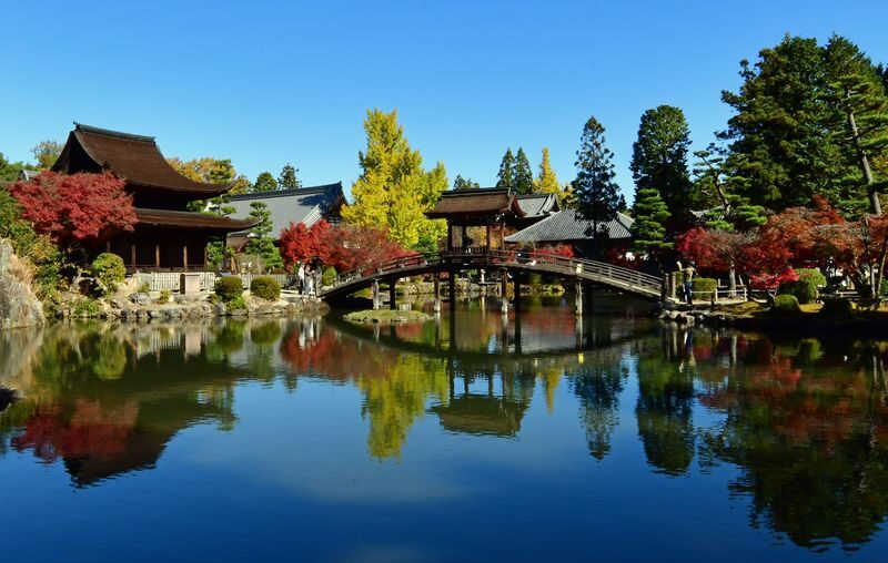 Kyoto Arashiyama Bamboo Forest & Togetsukyo Bridge Half-Day Small Group Tour - What a guide adds
