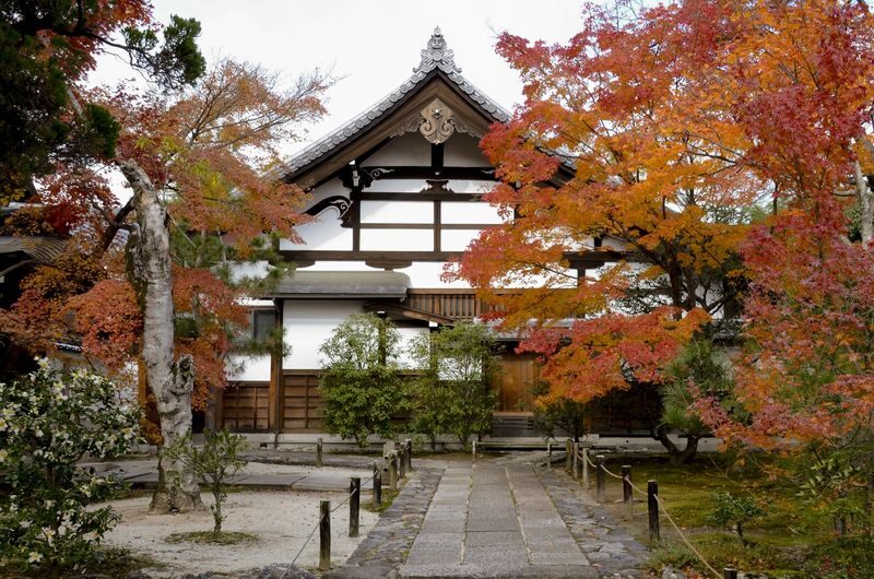 Kyoto Arashiyama Bamboo Forest & Togetsukyo Bridge Half-Day Small Group Tour - Small group, with a few details to check