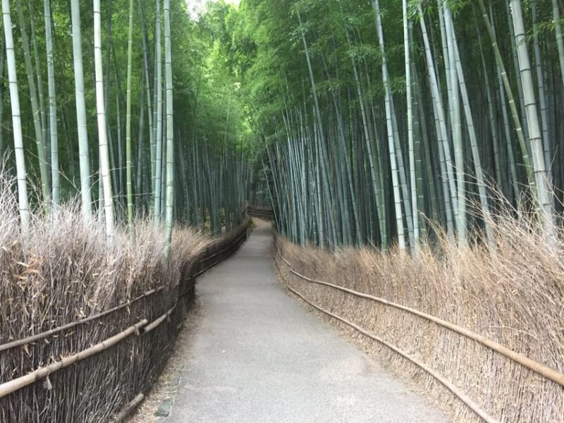 Kyoto, Arashiyama: Bamboo Grove Half-Day Private Guided Tour - Good To Know  