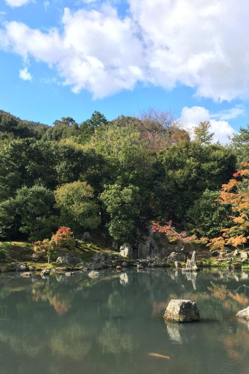 Kyoto: Arashiyama Bamboo Grove, Monkey Mountain Walking Tour - Good To Know