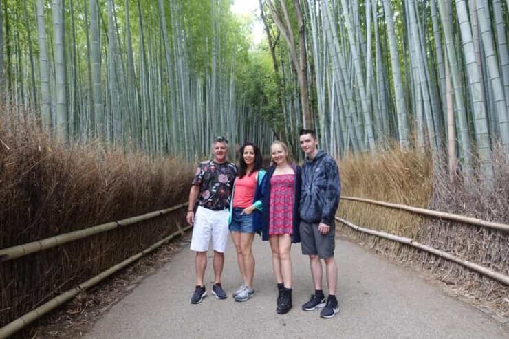Kyoto: Arashiyama Bamboo Grove, Monkey Mountain Walking Tour - Experience Highlights