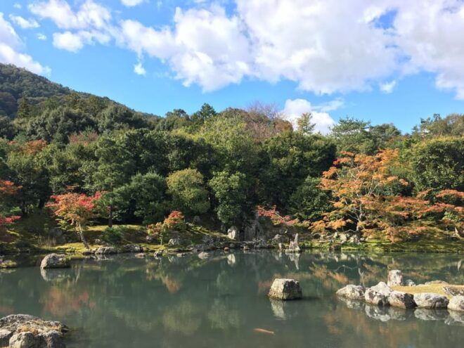 Kyoto: Arashiyama Bamboo Grove, Monkey Mountain Walking Tour - Cancellation Policy