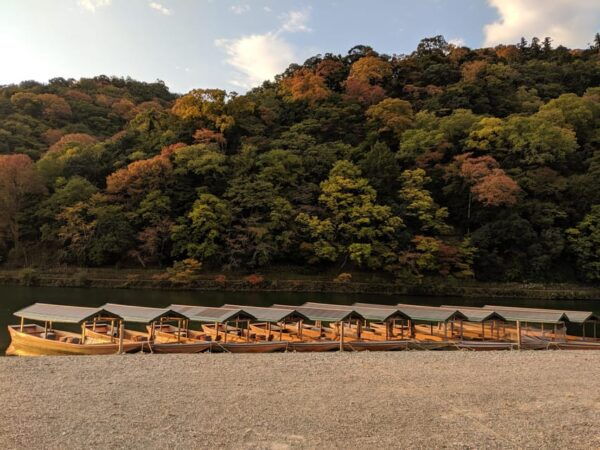 Kyoto: Arashiyama Bamboo Grove, Monkey Mountain Walking Tour - What to Expect