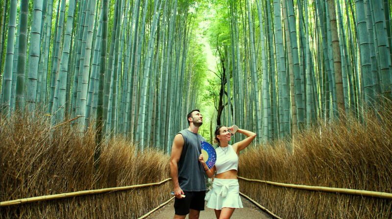 Kyoto: Arashiyama Bamboo, Monkey Park & Temple Tour - Key things to know before you go