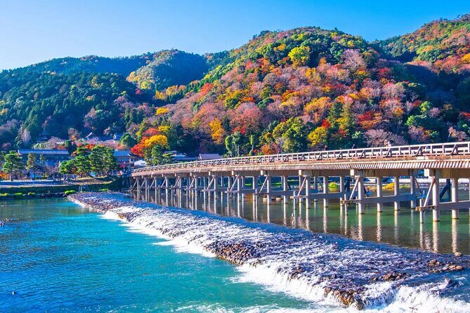 Kyoto: Arashiyama Early Access Bamboo & Temple Tour - Analyzing Each Part of the Tour