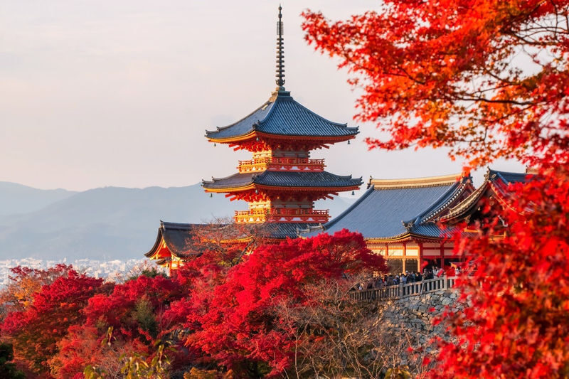 Kyoto Arashiyama, Fushimi Inari & Kiyomizu-dera Full-Day Tour - Three sides of Kyoto, one full-day route