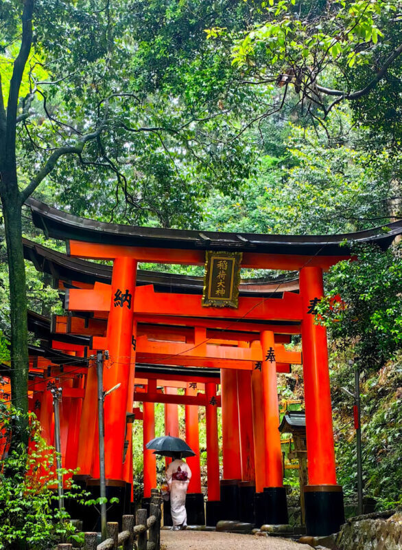 Kyoto Arashiyama, Fushimi Inari & Kiyomizu-dera Full-Day Tour - What the guide and transport add