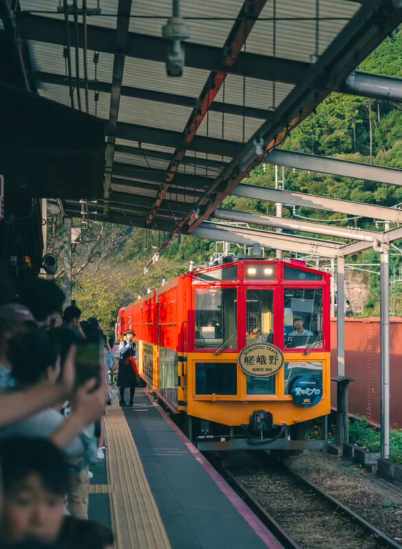Kyoto Arashiyama, Fushimi Inari & Kiyomizu-dera Full-Day Tour - Who should book this Kyoto tour?