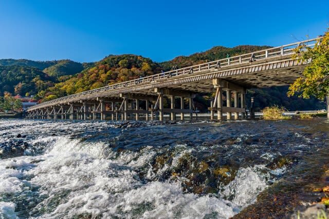 Kyoto Arashiyama Half-Day Private Tour - Bamboo paths and Nonomiya Shrine